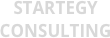 Startegy consulting
